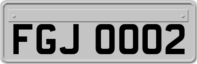 FGJ0002