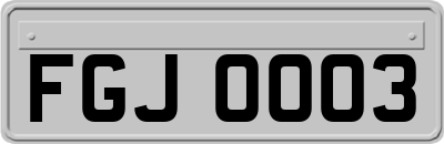 FGJ0003