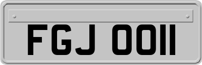 FGJ0011