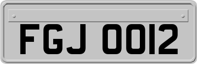 FGJ0012
