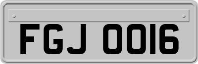 FGJ0016