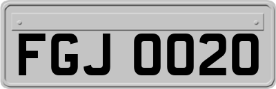 FGJ0020