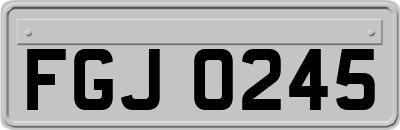 FGJ0245