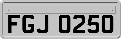 FGJ0250