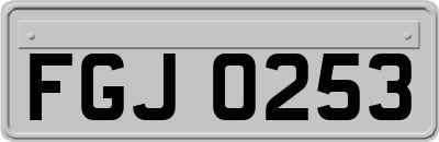FGJ0253