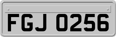 FGJ0256