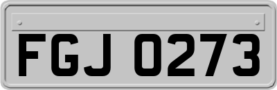 FGJ0273