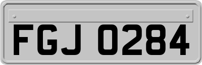 FGJ0284