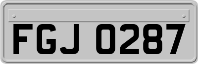 FGJ0287