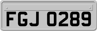 FGJ0289