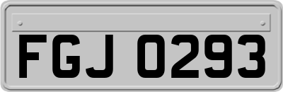 FGJ0293