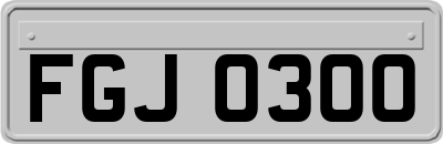 FGJ0300