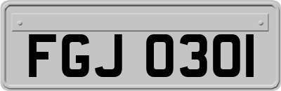 FGJ0301