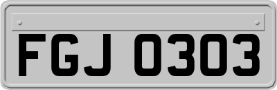 FGJ0303