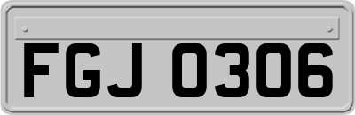 FGJ0306