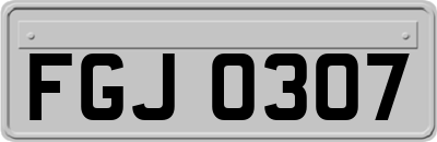 FGJ0307