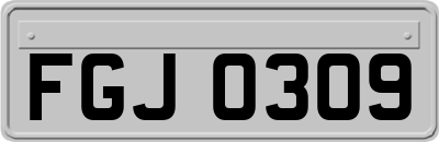 FGJ0309