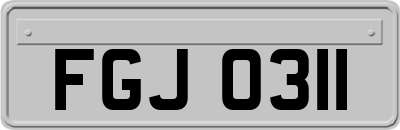 FGJ0311