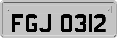 FGJ0312