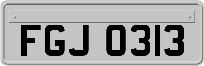 FGJ0313