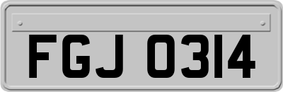FGJ0314