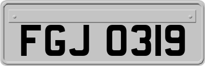 FGJ0319