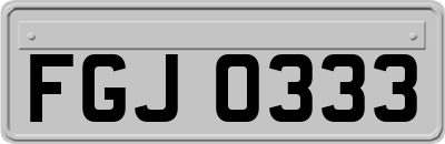 FGJ0333