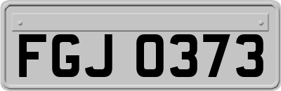 FGJ0373