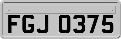 FGJ0375