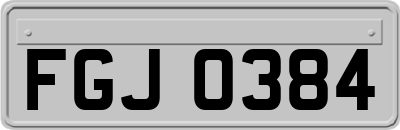 FGJ0384