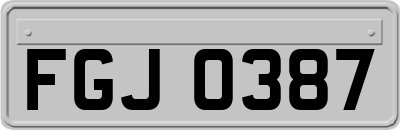 FGJ0387