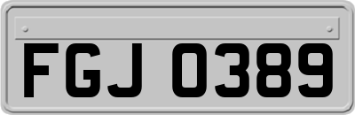 FGJ0389