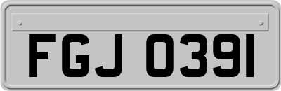 FGJ0391