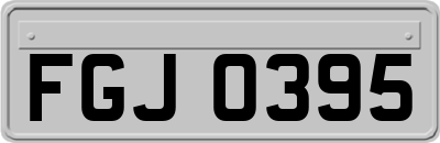 FGJ0395