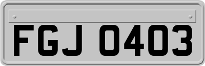 FGJ0403