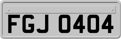 FGJ0404