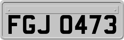 FGJ0473