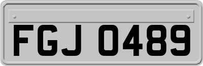 FGJ0489