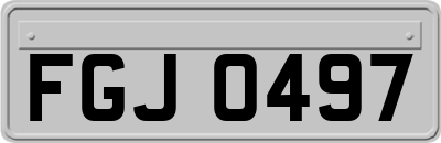 FGJ0497