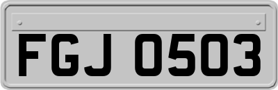 FGJ0503