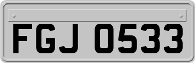 FGJ0533