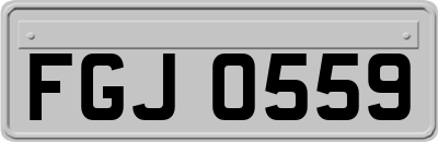 FGJ0559