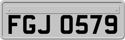 FGJ0579