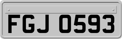 FGJ0593