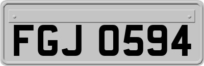 FGJ0594