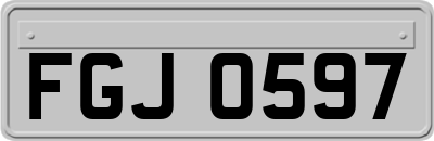 FGJ0597