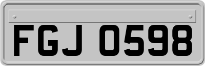 FGJ0598