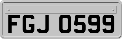 FGJ0599