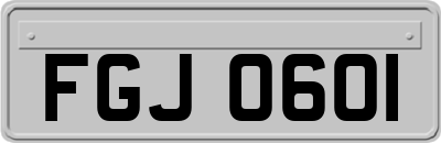 FGJ0601