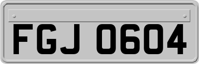 FGJ0604